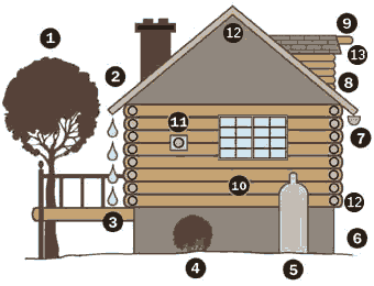 Log Home Check-up