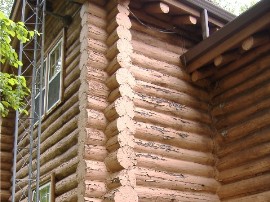 rot below roof