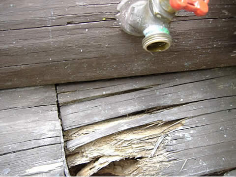 Log Rot