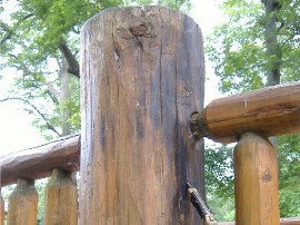 pine railing